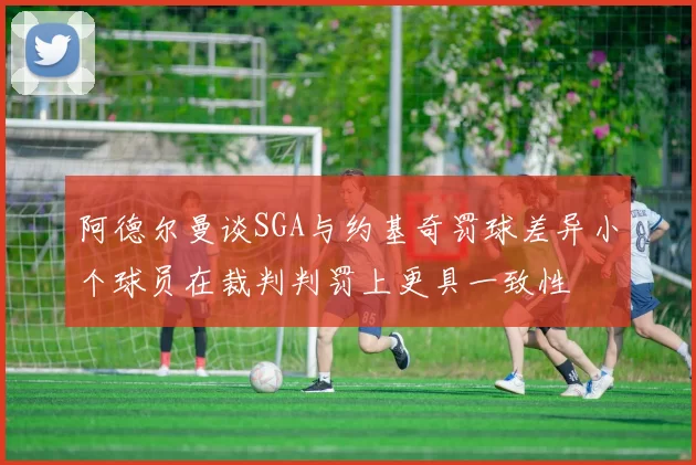阿德尔曼谈SGA与约基奇罚球差异小个球员在裁判判罚上更具一致性