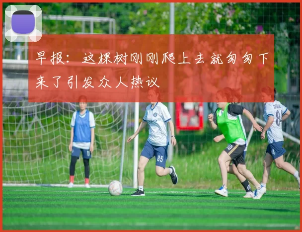 早报：这棵树刚刚爬上去就匆匆下来了引发众人热议