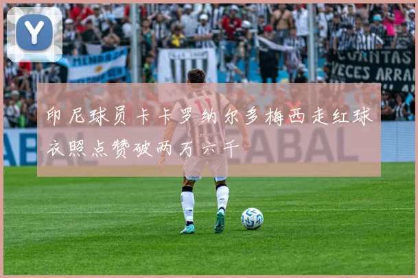 印尼球员卡卡罗纳尔多梅西走红球衣照点赞破两万六千