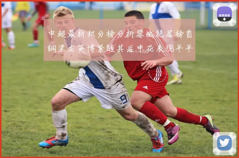 中超最新积分榜分析蓉城稳居榜首铜梁龙英博紧随其后申花表现平平仍需努力